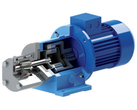 Gear Pump